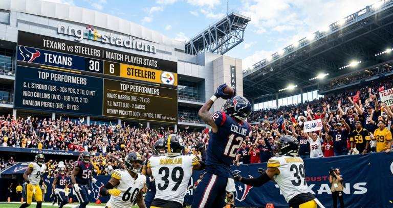 texans vs pittsburgh steelers match player stats